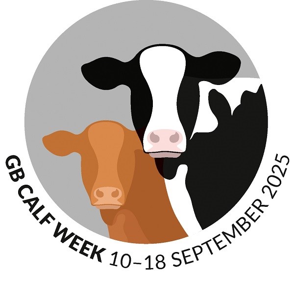 GB Calf Week 10-18 September 2025 logo